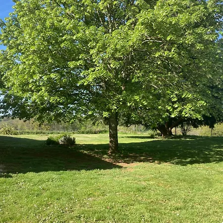 別荘 Maison Confortable Entre Rocamadour Et Sarlat ル・ヴィガン